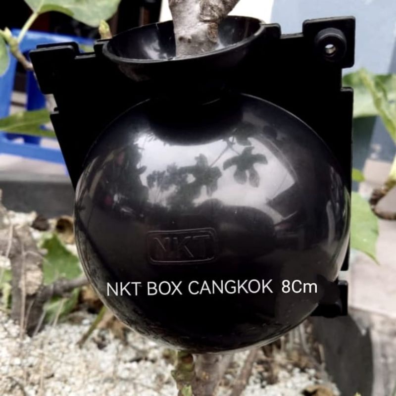 HITAM Ukuran 8cm rooting bulat HITAM alat bantu cangkok tanaman alat cangkok box cangkok cangkok bua