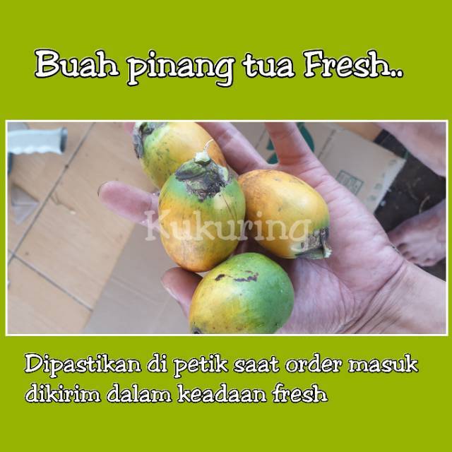 Buah Pinang Tua 1 Kg