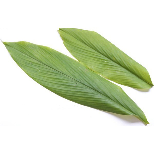 

Daun Kunyit Rempah Bumbu Masak Dapur Gulai Fresh Segar Pasar Murah 100gr