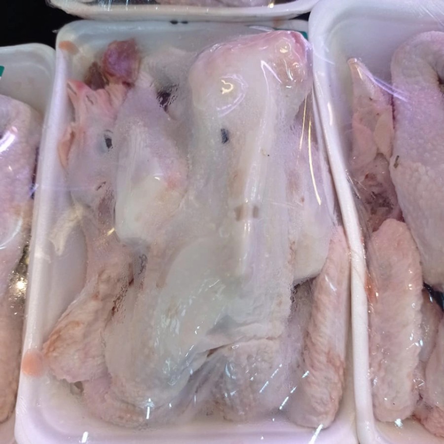 

AYAM PEJANTAN ASLI FROZEN FOOD PER EKOR