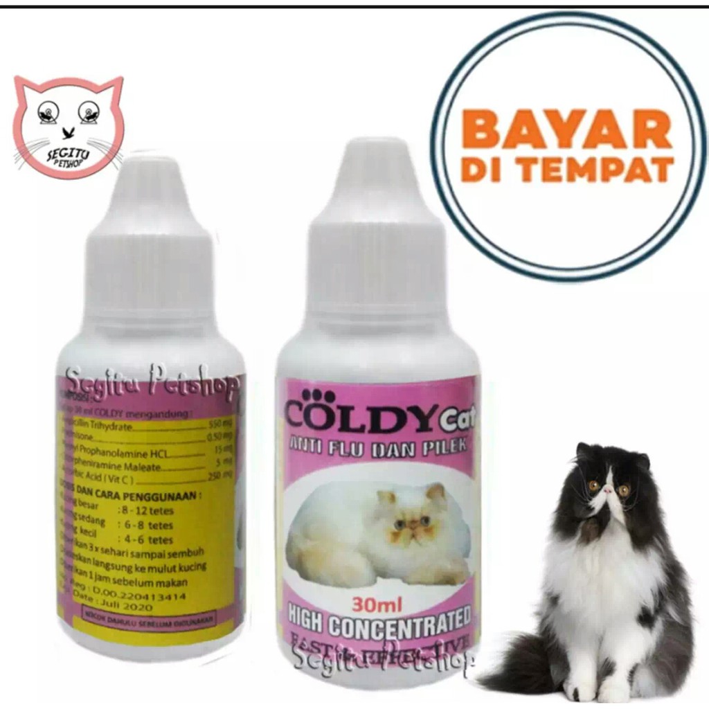 coldy obat flu batuk demam kucing