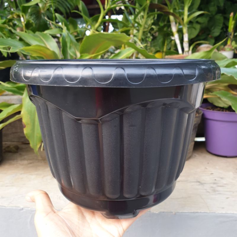 SHALLOM MIO 25 pot bunga plastik tebal murah motif belimbing