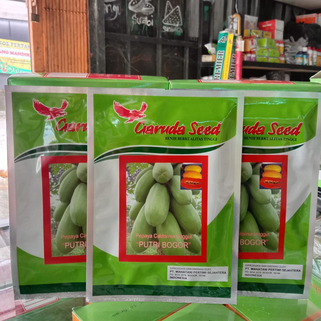 Benih Unggul Pepaya California PUTRI BOGOR 1 GR = Bibit Unggul Pepaya California garuda seed