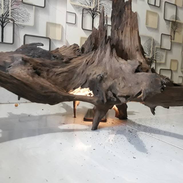 Kayu fosil alami bahan aquarium