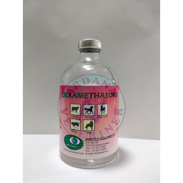 Obat Hewan DEXAMETHASONE 100 ml