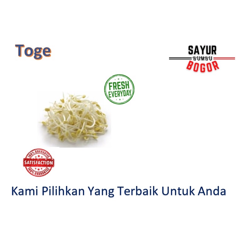 

Toge / Tauge / Toge Sayur / Sayuran Bogor
