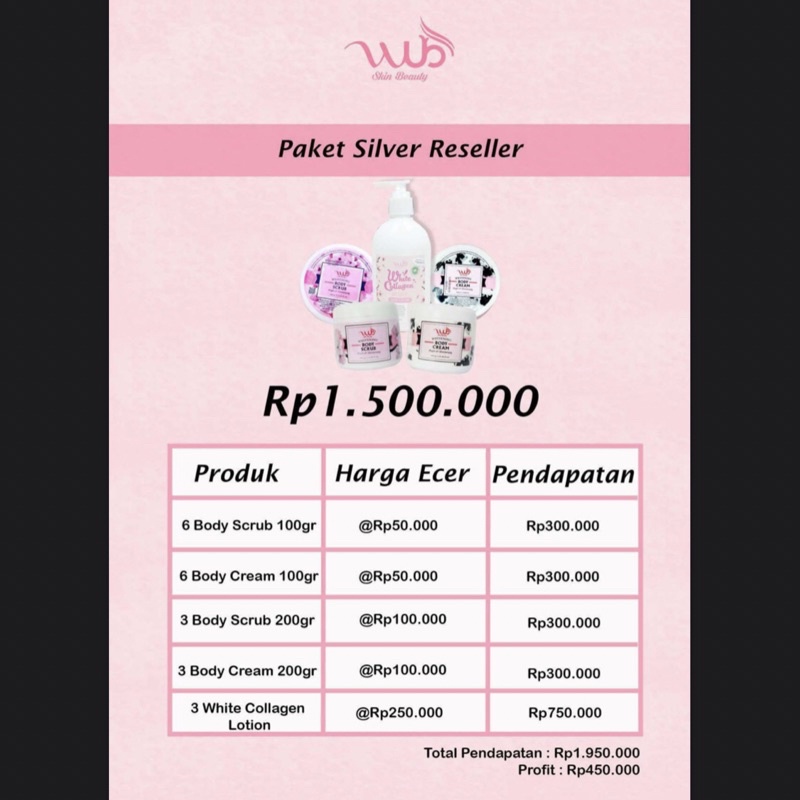 WUB Skin Beauty Paket Silver Reseller