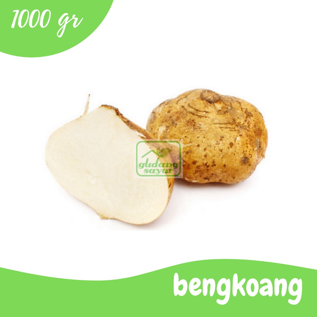 

Bengkuang 500g Gudang Sayur Purwokerto
