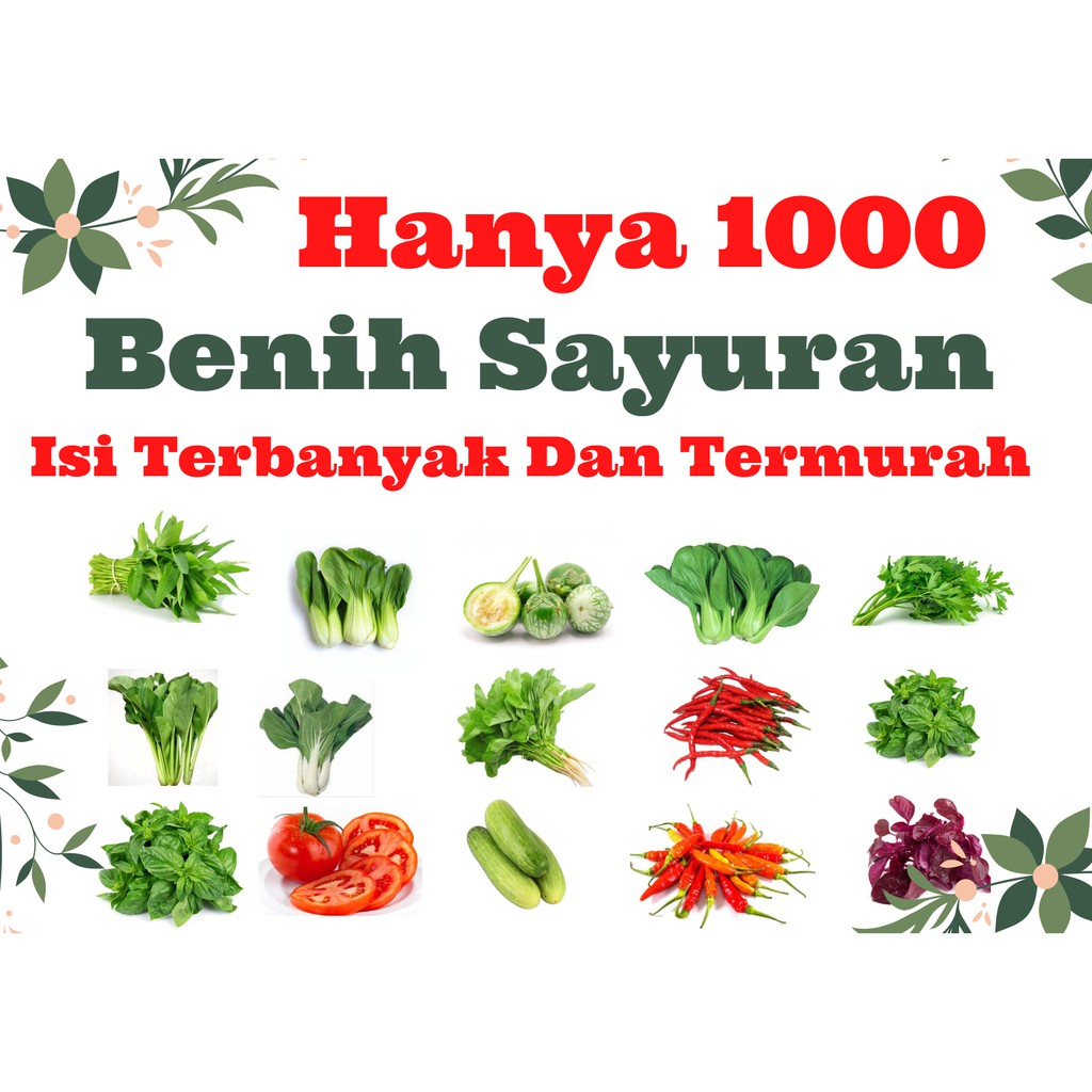 Bibit Sayuran dan Buah Siap Tanam Lengkap Bisa untuk Hidroponik