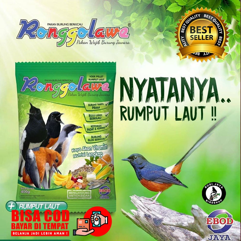 VOER RONGGO LAWE EBOD JAYA VOER PAKAN MAKANAN KACER MURAI ANIS JALAK CUCAK HIJAU