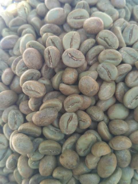 BIJI ROBUSTA NATURAL BEAN KOPI TEMANGGUNG