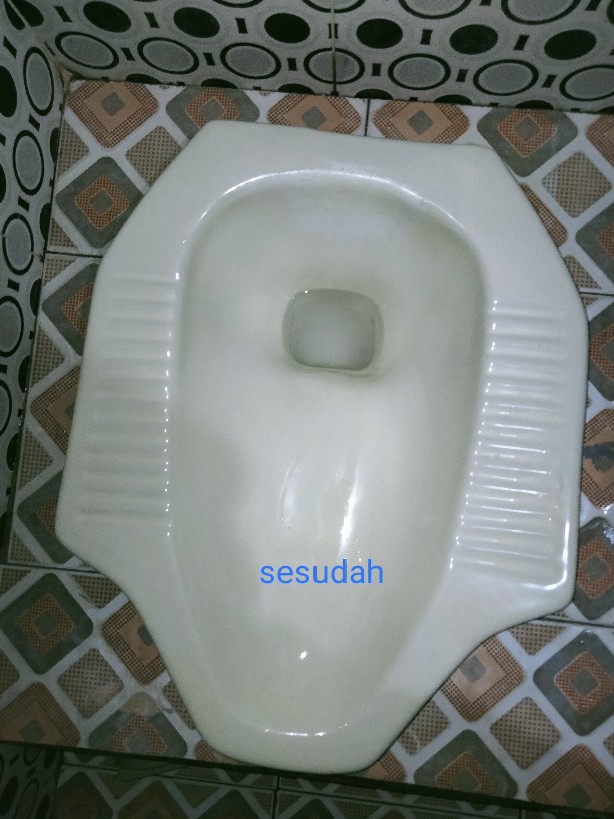 Exclean Pembersih Kerak Keramik Porselen Lantai Kloset Toilet Kamar Mandi