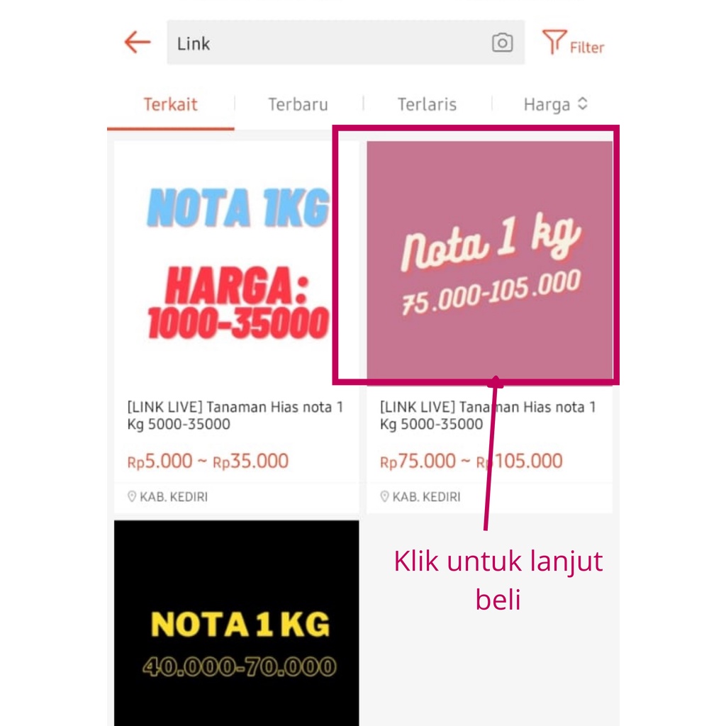 [LINK LIVE] Tanaman Hias nota 1 Kg 6.000 -42.000