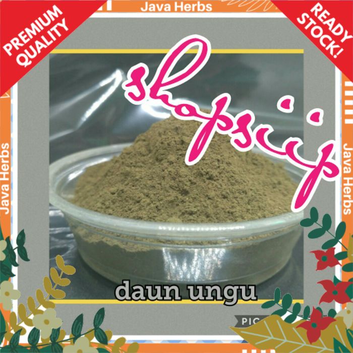 

daun ungu bubuk 500 gram