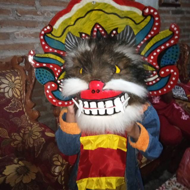 Barongan kucing-kucing mainan anak-anak