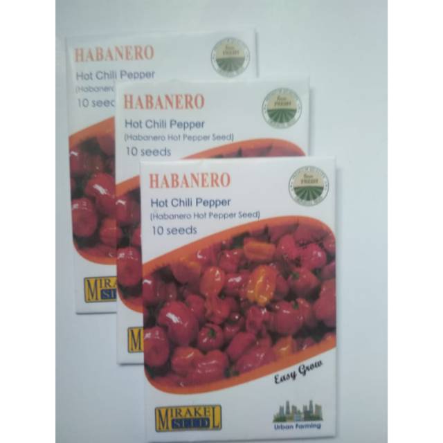 1 paket benih habanero