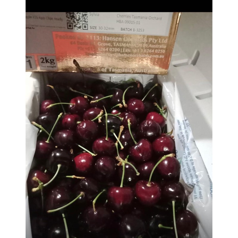 tasmanian cherry murah