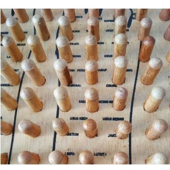 TERBARU Alat Terapi Kesehatan Papan Pijat Refleksi Kesehatan Papan Pijat Kayu - Alat Terapi Kesehata