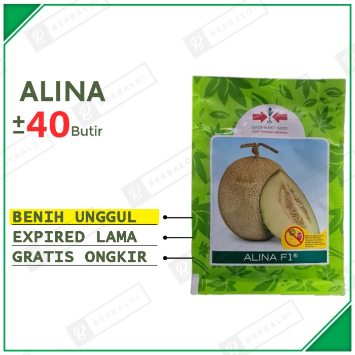 Alina F1 Benih Melon Manis Unggul Bibit Melon Bulat Hibrida SP