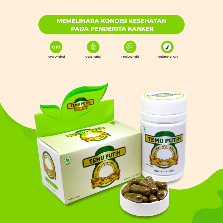 Obat Herbal Kanker Temu Putih