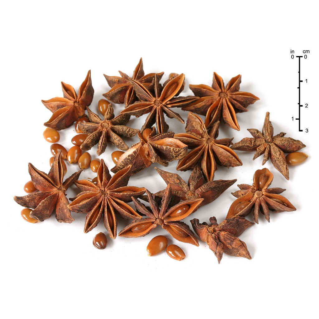 

Kembang Lawang / Star Anise / Bunga Lawang 500gr / pekak 500gr