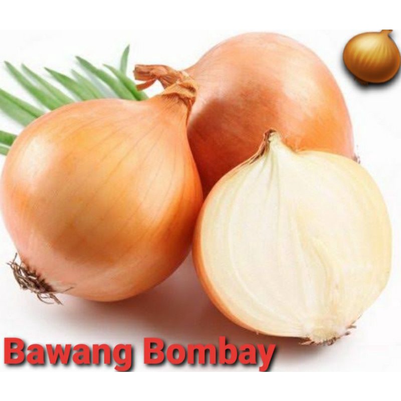 

Bawang Bombay / Onion / Bawang Bombay Curah