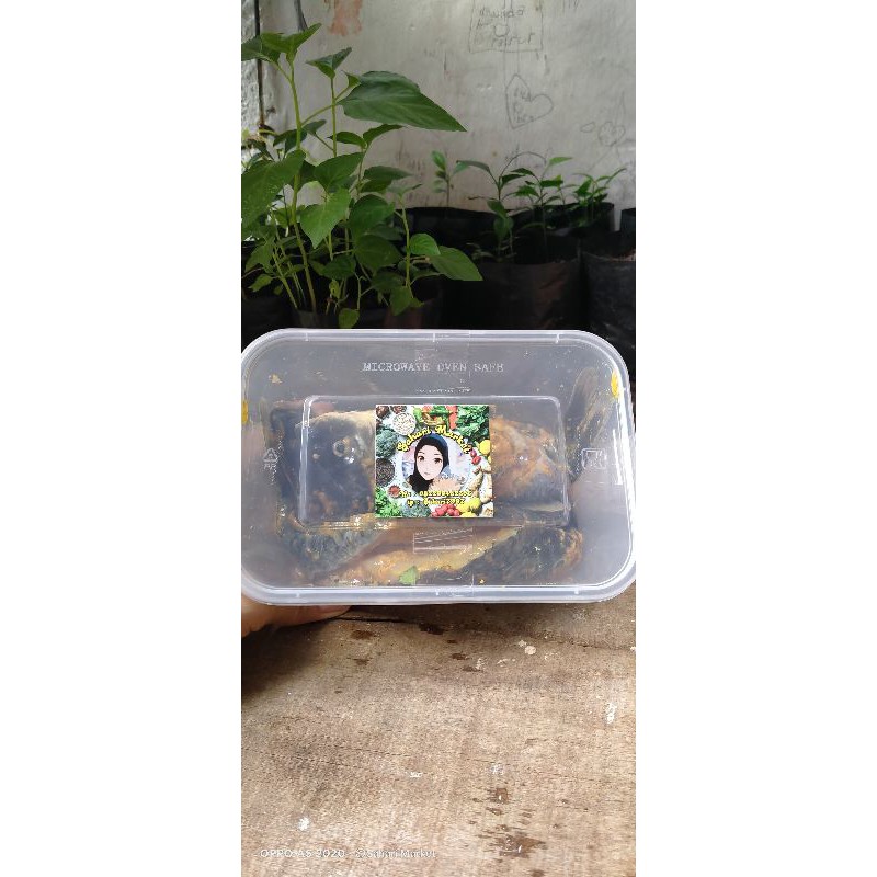 

Ikan Mas Bumbu Kuning 1/2kg