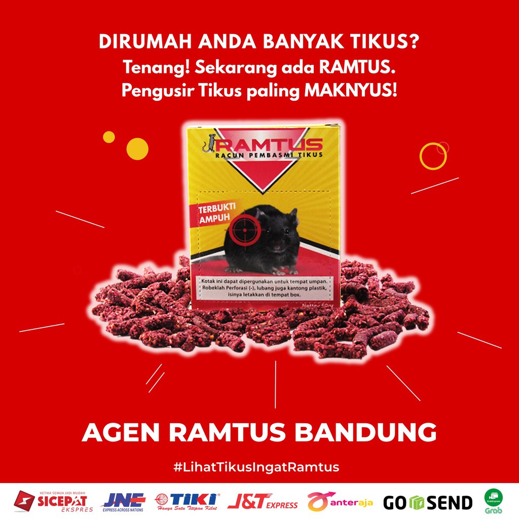 Ramtus Pembasmi Tikus Ampuh