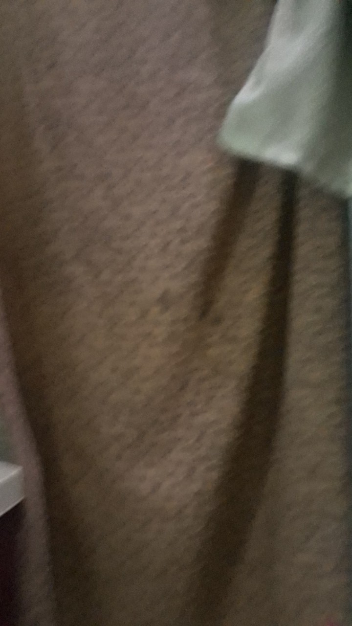 Sikat Baju Sedang / Sikat Kaki / Sikat Wc / Sikat Garansi Termurah