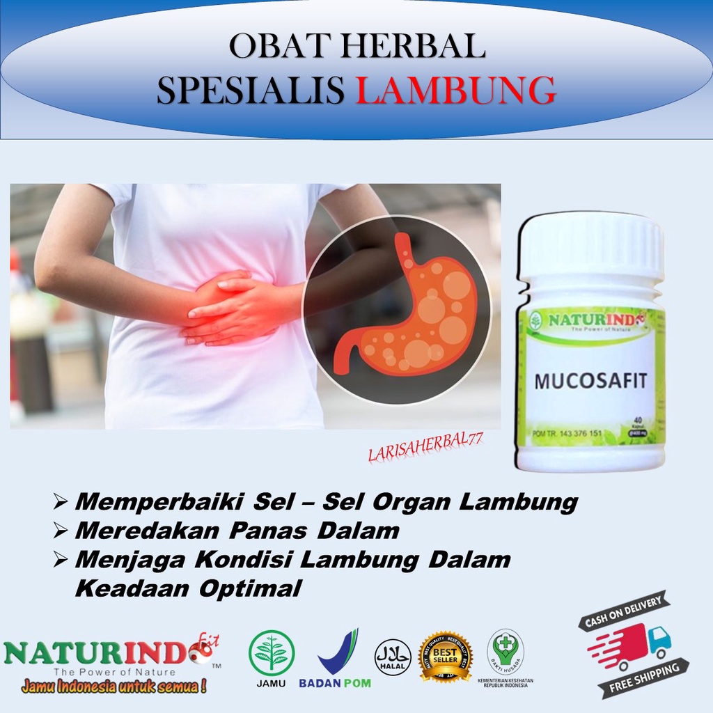 Jual Obat Sakit Lambung Ganggua Pencernaan Maag Kembung Gasthritis ...