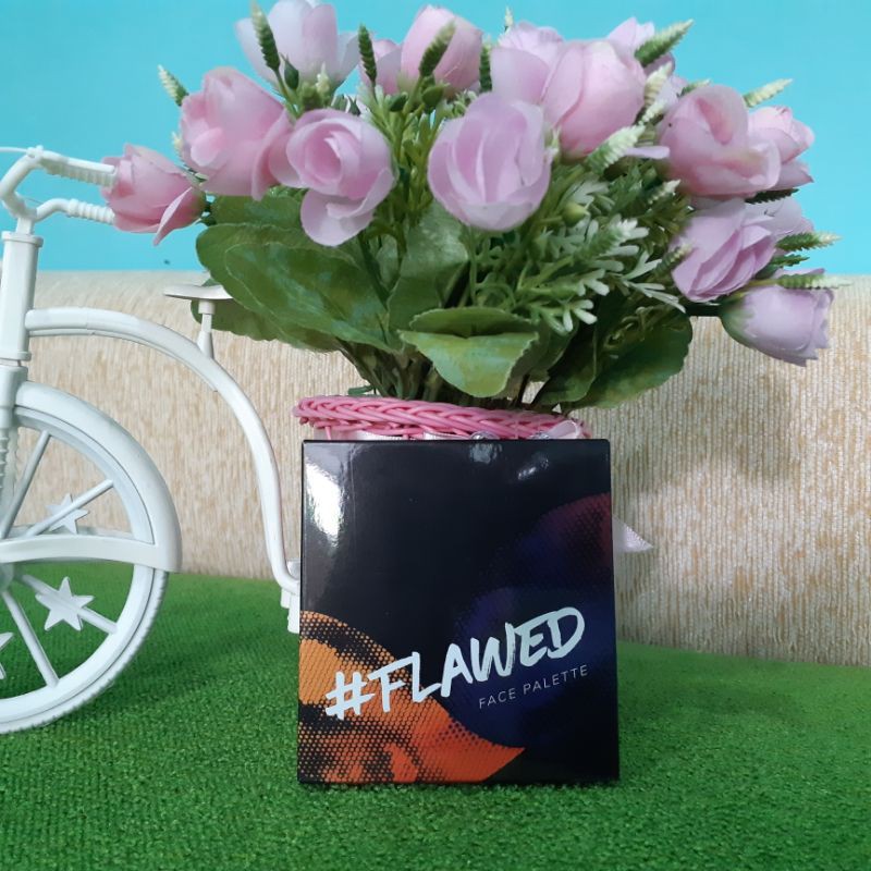 Flawed Face Palette