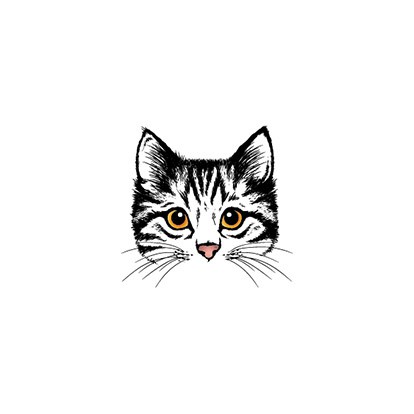 

POTATOO ASHLEY THE CAT Temporary Tatto Sticker