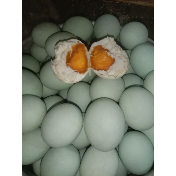

telur asin