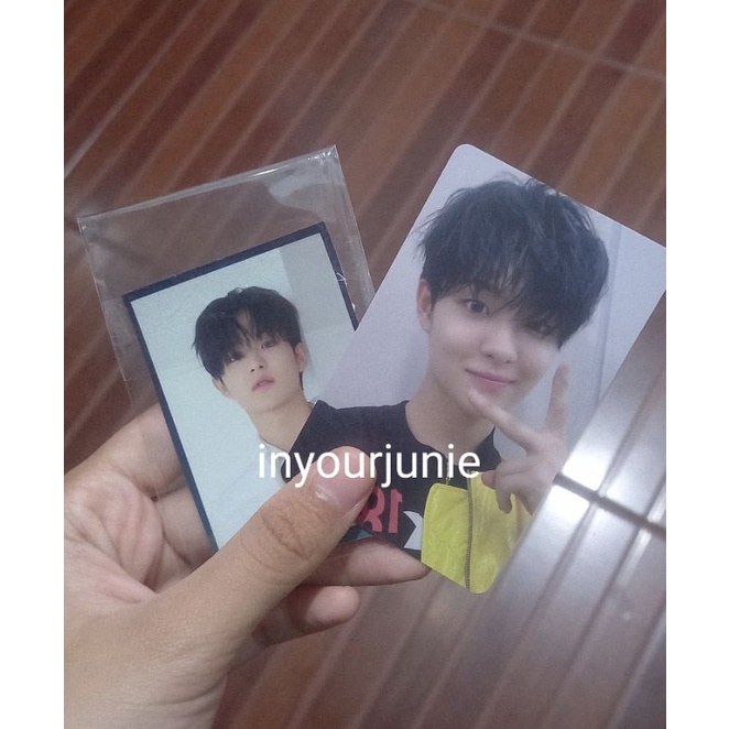 Applewood Treasure Jihoon 1.0