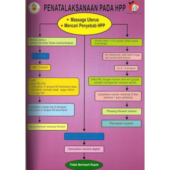 

Poster Penatalaksanaan Pada HPP Dan Banyak Poster Kebidanan Lainnya