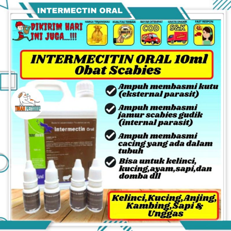 Intermectin Oral 10 Ml Obat Kutu Gudik Cacing Scabies Kucing Anjing Kelinci