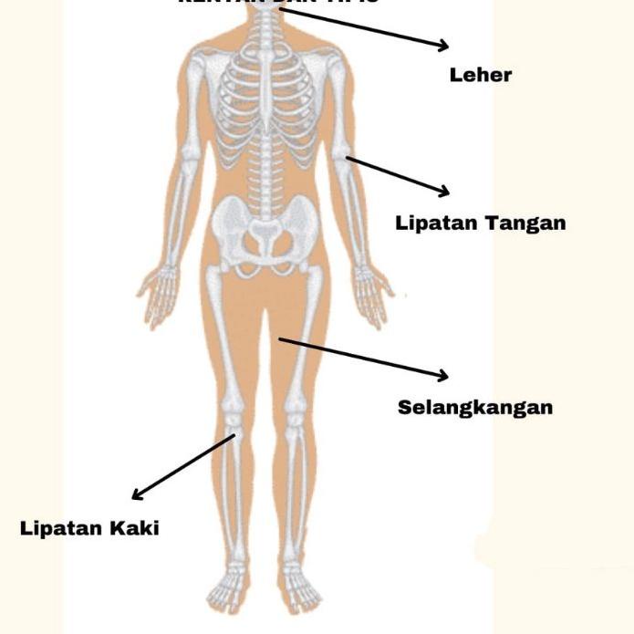 Best⭐ HB DOSTING PLATINUM TRIPEL SKIN GLOW KODE 004001 UNGU ORIGINAL KLOBE HB SUPER DOSIS TINGGI HB 