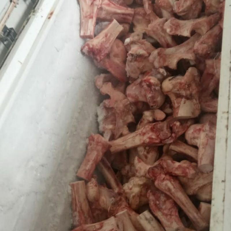 

Tulang sum-sum sapi paha atas terlaris