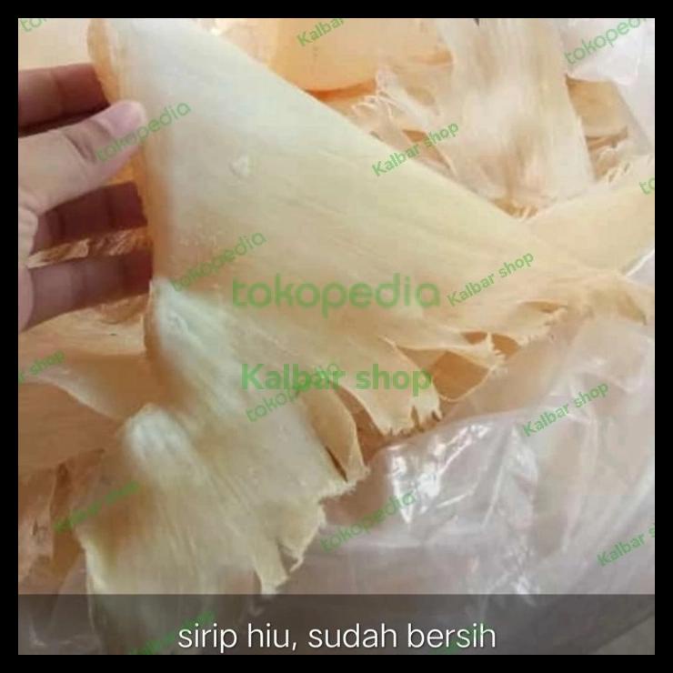 

DISKON TERBATAS !!! SIRIP IKAN HIU (300G) HU CHI-HUCHI-HISIT KERING ASLI KALIMANTAN BARAT TERLARIS