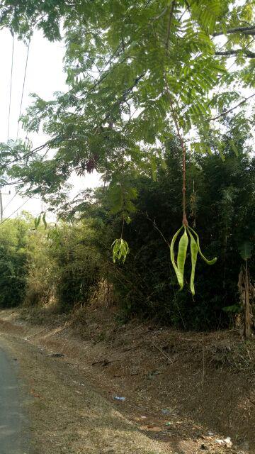 Batik Jumbo Big Size Jumbo Xxl Xxxl 3l 4l 5l Murah Batik Jumbo Couple m,l,xl,xxl,xxxl,xxxxl,xxxxxl