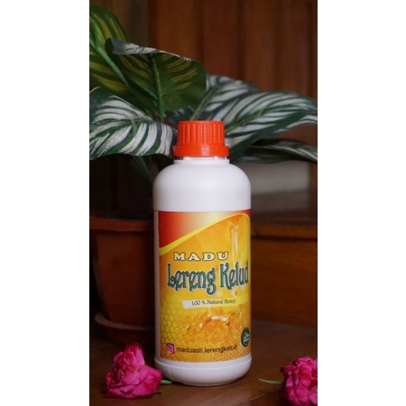 

madu asli lereng kelud