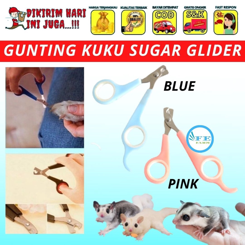 GUNTING KUKU HEWAN NAIL CLIPPER SUGAR GLIDER / KUCING / RAPTAIL FEFARM