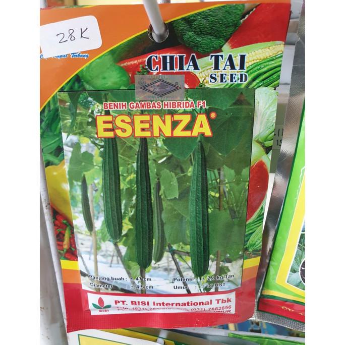 favorit] Chia Tai Benih Gambas Esenza