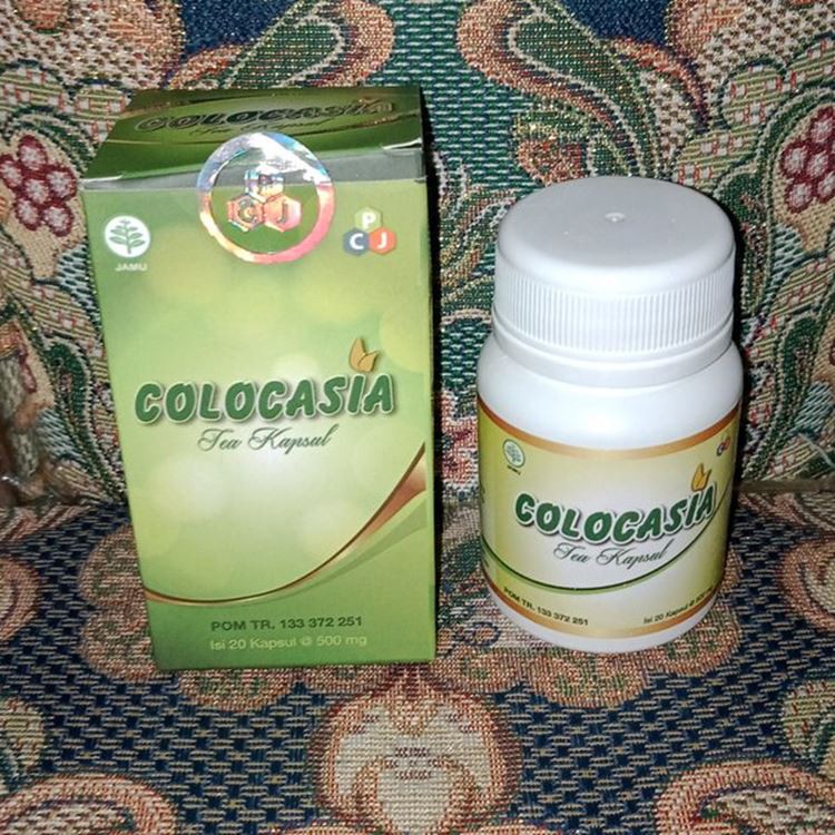 New Obat Sendi Tulang Kuat Colocasia Asli Herbal Original Resmi BPOM