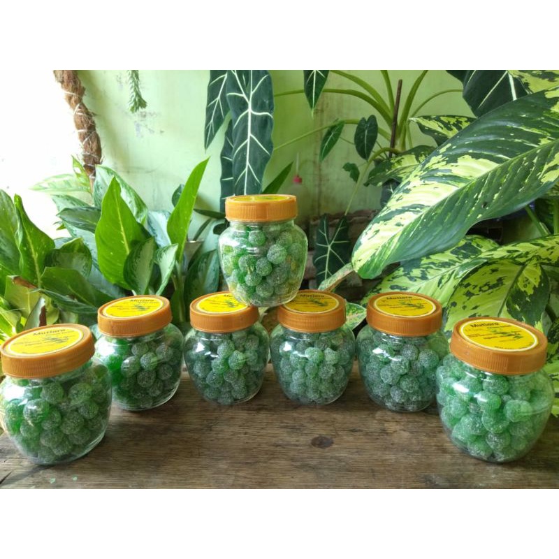 

Permen kayu putih home made terlaris, enak, segar