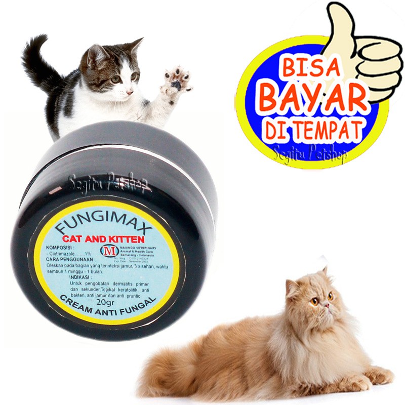 OBAT KUCING SAKIT KORENG JAMUR SCABIES KITTEN FUNGIMAX SALEP