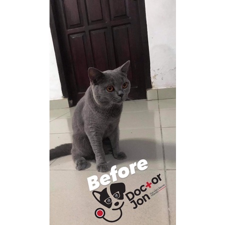 Vitamin Kucing Pelebat Bulu, Panjang, Mengkilat, Anti Rontok / Doctor Jon Coat Booster