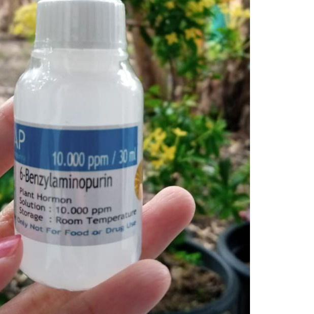 ➴ Hormon 6bap Benzylaminopurine 30ml Biru ➯