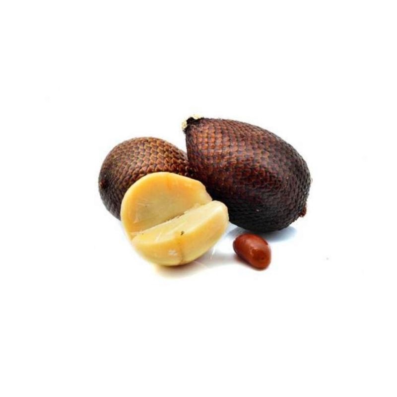

Buah Salak Segar 500 gr Murah