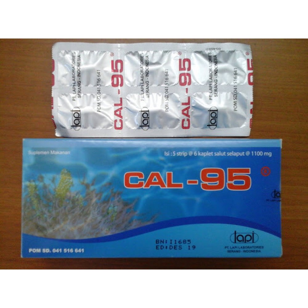 Cal 95 Kalsium Ibu Hamil Dan Menyusui Shopee Indonesia